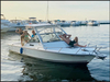 Albemarle 247 Cuddy Express Blue Point    New York BoatsFSBOgo