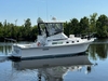 Albin 35 Command Bridge
