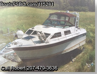 Baha Cruisers 310