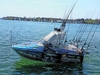 Bayliner Discovery 210 Ontario  New York BoatsFSBOgo