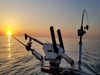 Bayliner Discovery 210 Ontario  New York BoatsFSBOgo