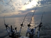Bayliner Discovery 210 Ontario  New York BoatsFSBOgo