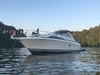 Bayliner Avanti