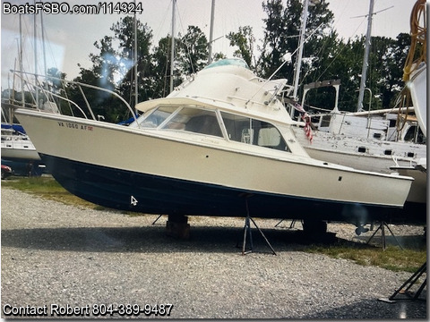 31' 1972 Bertram 31 Flybridge Cruiser BoatsFSBOgo
