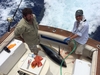 Blackfin Flybridge Kona Hawaii BoatsFSBOgo