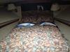 Blackfin 36 Combi Jersey City  New Jersey BoatsFSBOgo