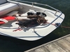 Boston Whaler Super Sport Ogdensburg New York BoatsFSBOgo