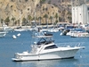 Canaveral Custom 36 SFX Avalon California BoatsFSBOgo