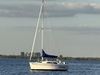 Catalina 250