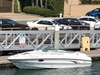 Chaparral 2335 SS Limited Edition