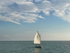 Com Pac Sunday Cat Ypsilanti Township Michigan BoatsFSBOgo
