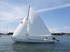 Daysailer Fiberglass