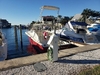 Dorado Sport Fish Bradenton Florida Dorado Sport Fish Bradenton Florida BoatsFSBOgo