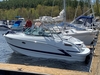Formula 290 BR