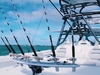 Freeman 42 LR Port Canaveral Florida BoatsFSBOgo