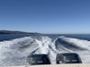 Grady White Gulf Stream Long Beach California BoatsFSBOgo