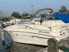 Larson 254 Cabrio