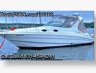 Larson Cabrio 290