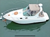 Larson Cabrio 290 Northport New York BoatsFSBOgo