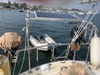Pearson 365 Mansfield Connecticut BoatsFSBOgo