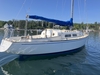 Pearson 33