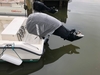Pursuit 2470 CC Ocean View Delaware BoatsFSBOgo