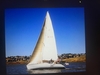Schock 35