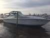 Sea Ray Express Cruiser