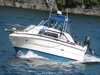 Sea Ray 260 Express Bellingham Washington BoatsFSBOgo