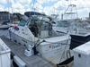 Sea Ray 390 Express Cruiser