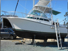 Shamrock Grand Slam 31 Panama City  Florida BoatsFSBOgo