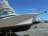 Shamrock Grand Slam 31 Panama City  Florida BoatsFSBOgo