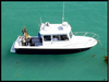 Skipjack Flybridge Long Beach California BoatsFSBOgo