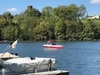 Tige 24 V Limited Edition Sterling Virginia BoatsFSBOgo