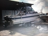 Wellcraft 250 Sportsman Leeville  Louisiana BoatsFSBOgo
