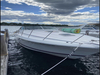 Wellcraft Gran Sport